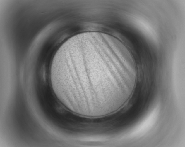 X0000101481438200807281030