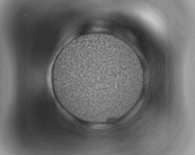 X0000101481439200807281030