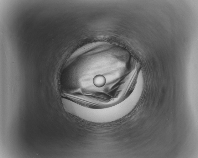 X0000101481441200807281030