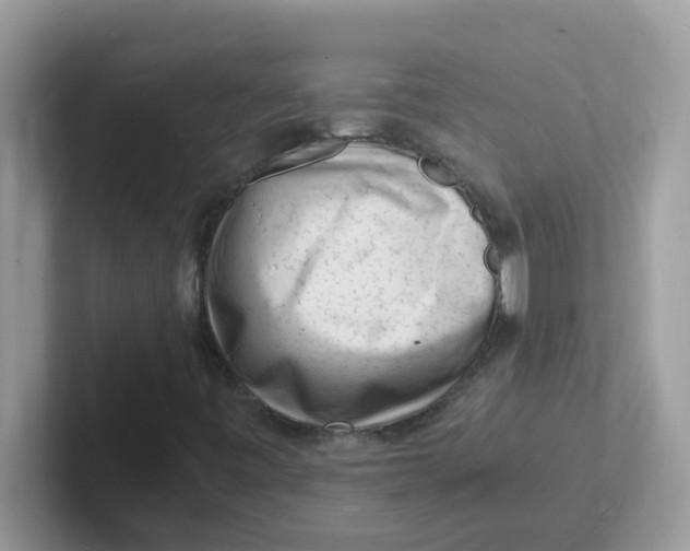 X0000101481443200807281030