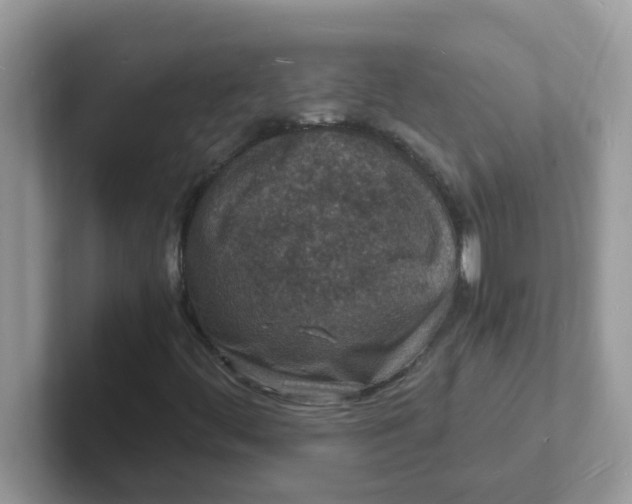 X0000101481444200807281030