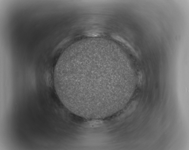 X0000101481446200807281030