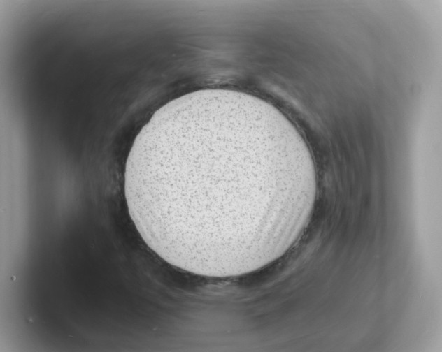 X0000101481447200807281030