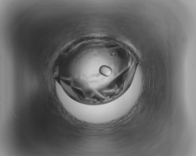 X0000101481448200807281030