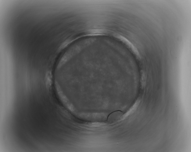 X0000101481449200807281030