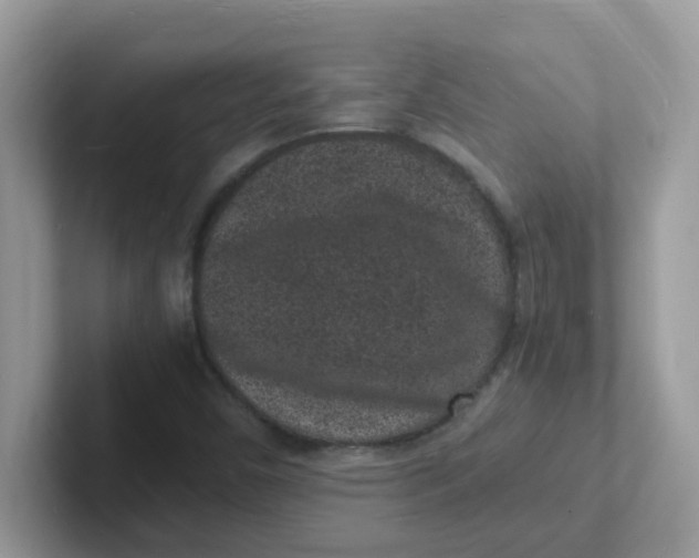 X0000101481450200807281030