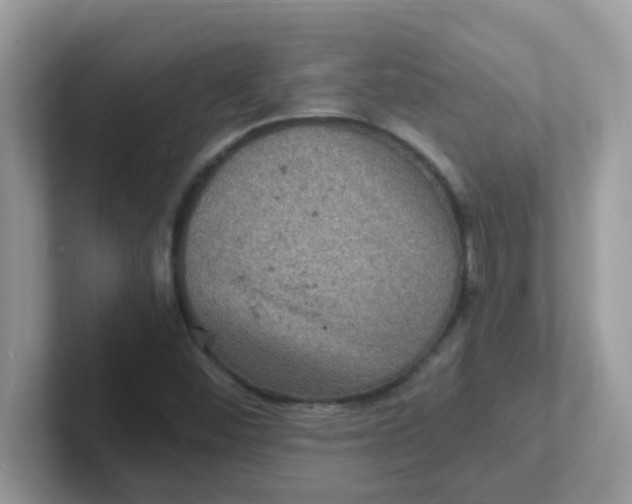 X0000101481452200807281030