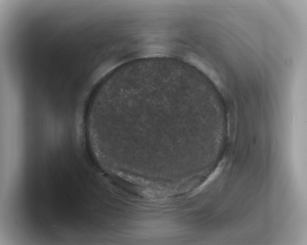 X0000101481453200807281030