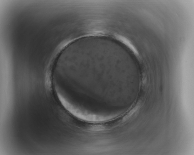 X0000101481455200807281030