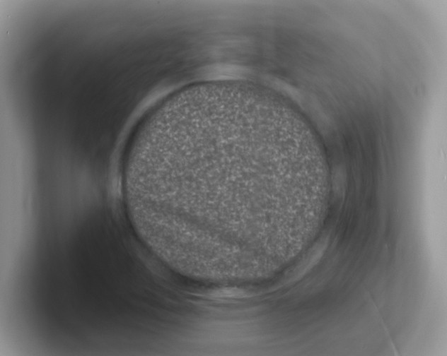 X0000101481462200807281030