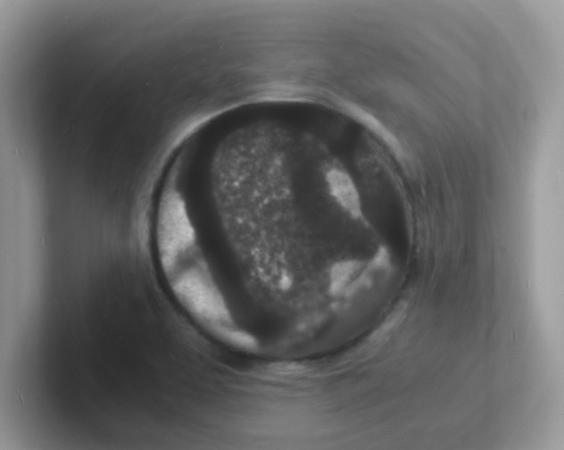 X0000101481463200807281030