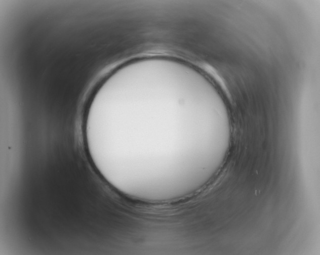 X0000101481464200807281030