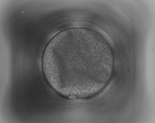 X0000101481465200807281030