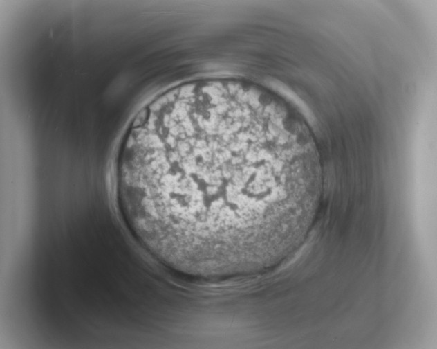 X0000101481467200807281030