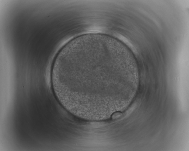 X0000101481469200807281030