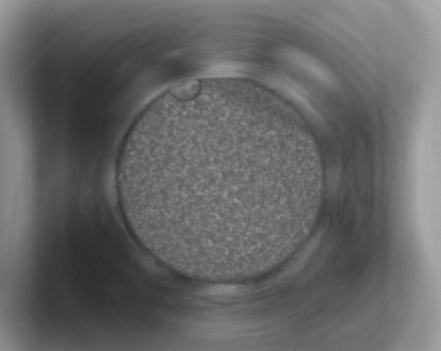 X0000101481470200807281029