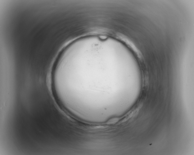 X0000101481471200807281029