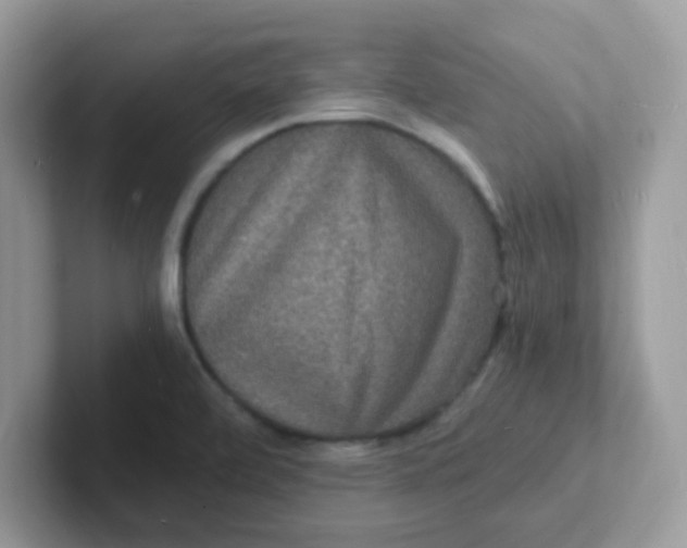 X0000101481472200807281029