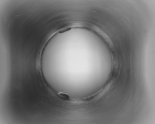 X0000101481473200807281029