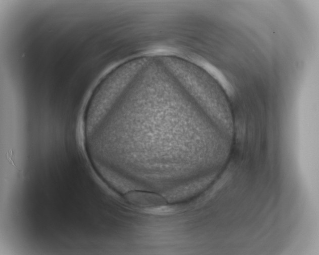 X0000101481476200807281029