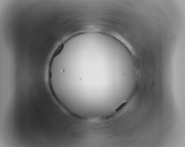 X0000101481477200807281029