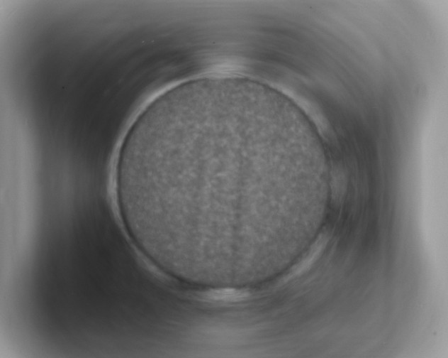 X0000101481478200807281029