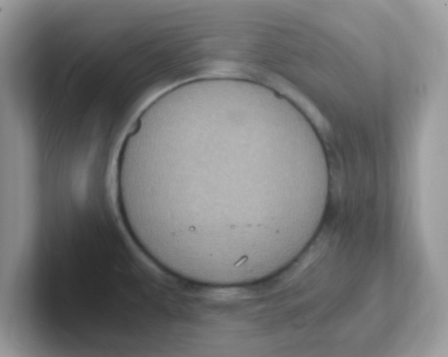 X0000101481479200807281029