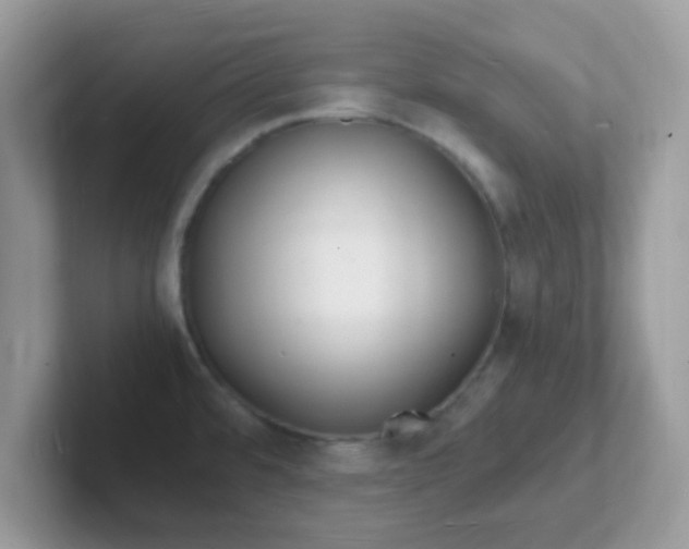 X0000101481480200807281029