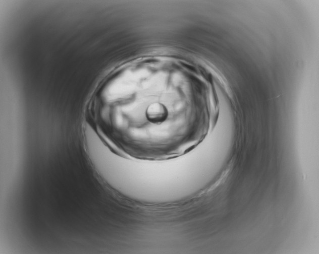 X0000101481481200807281029