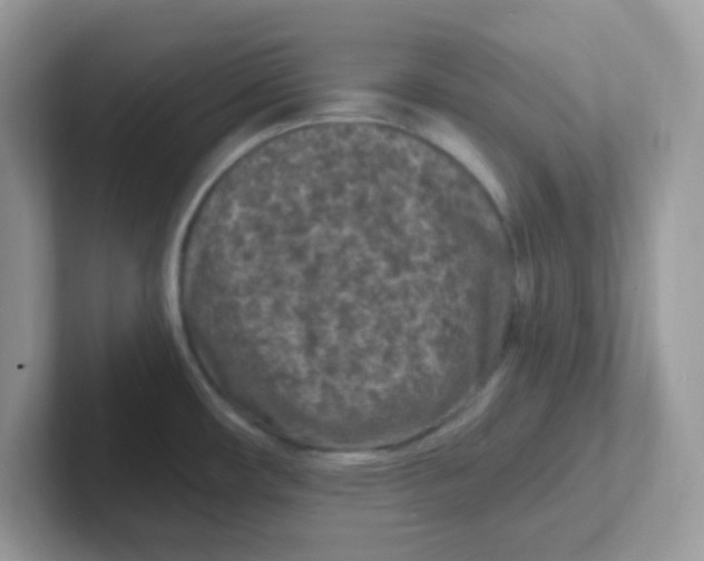 X0000101481482200807281029