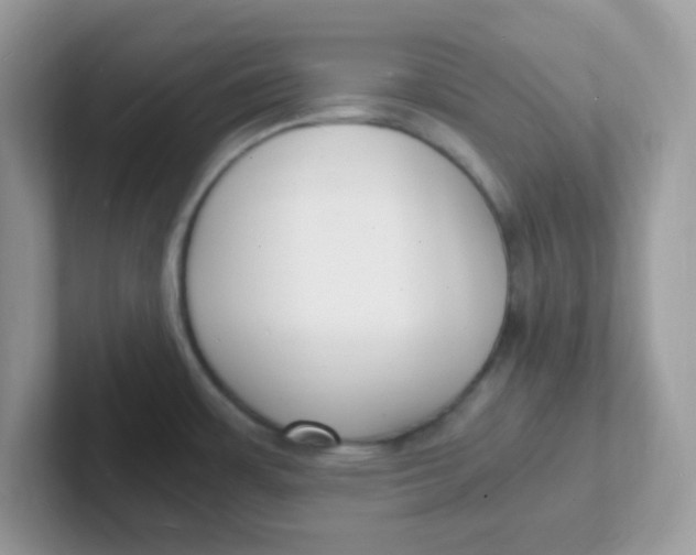 X0000101481483200807281029