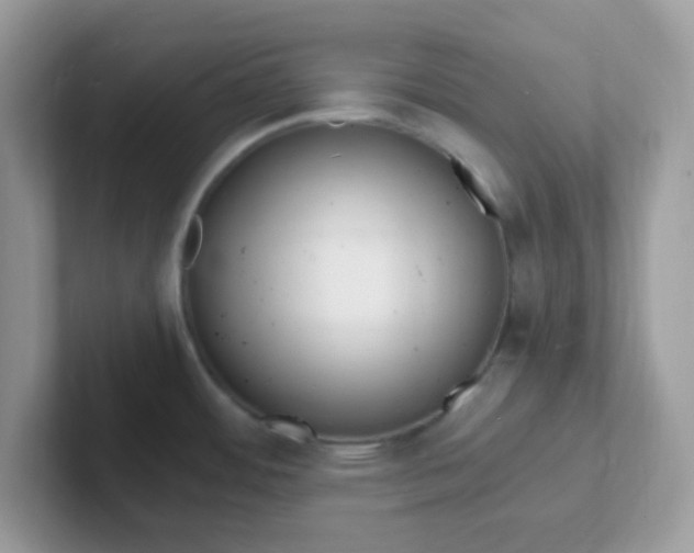 X0000101481484200807281029