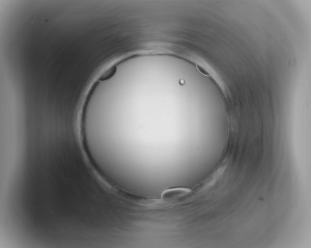 X0000101481485200807281029