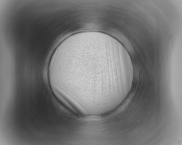 X0000101481486200807281029