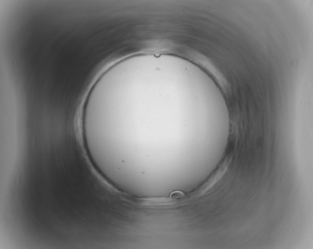 X0000101481487200807281029