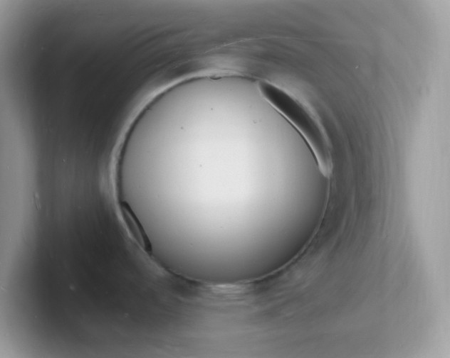 X0000101481488200807281029