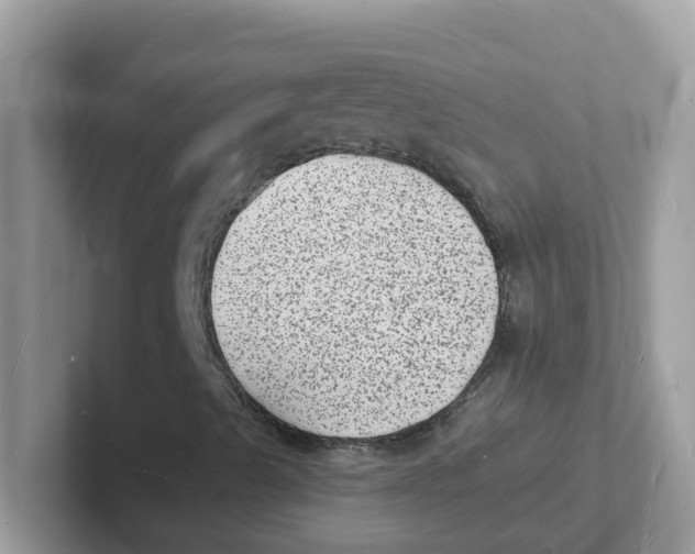 X0000101481489200807281029