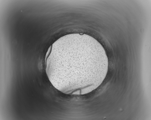 X0000101481490200807281029