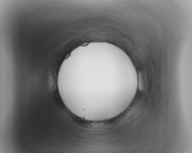 X0000101481491200807281029