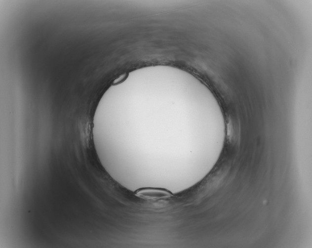 X0000101481492200807281029