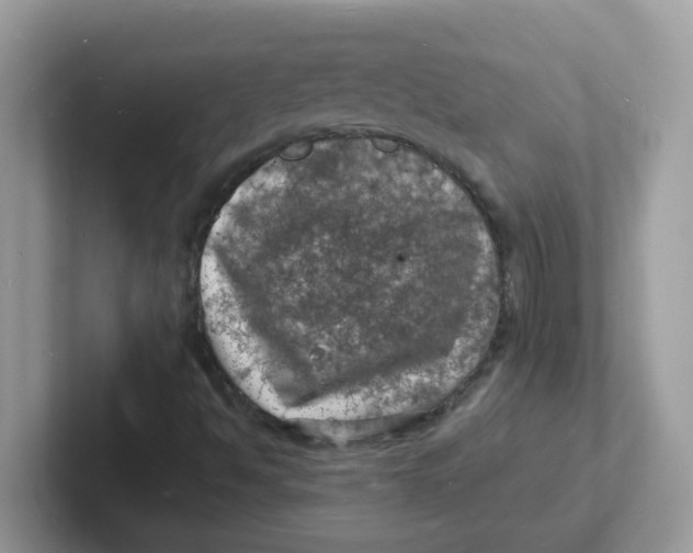 X0000101481494200807281029