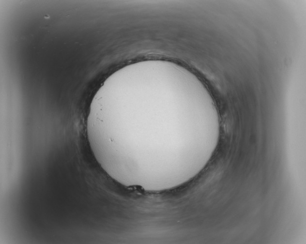 X0000101481495200807281029