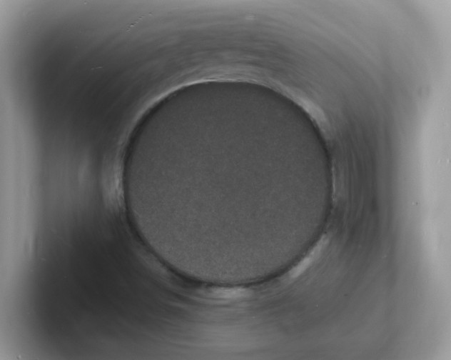 X0000101481498200807281029