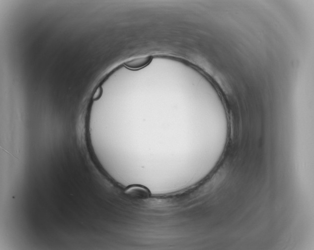 X0000101481500200807281029