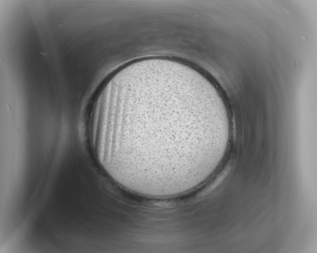 X0000101481501200807281029