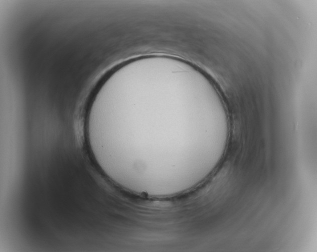 X0000101481503200807281029