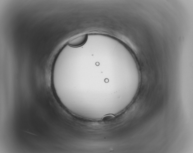 X0000101481504200807281029