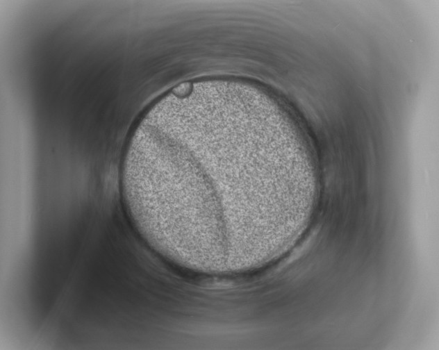 X0000101481505200807281029