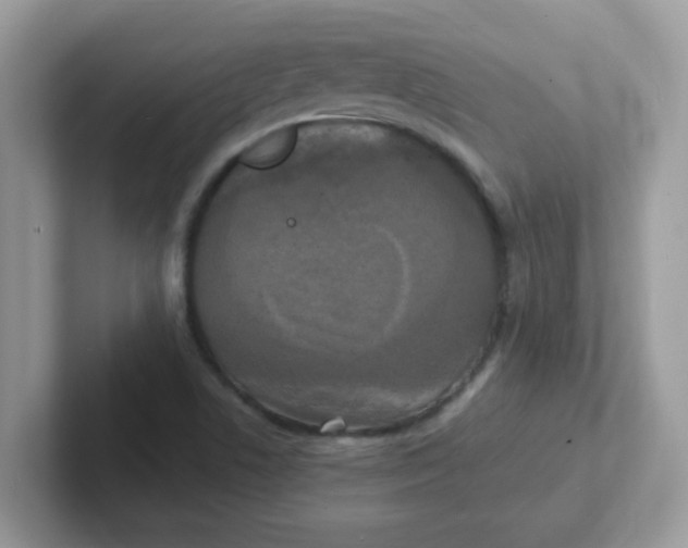 X0000101481506200807281029