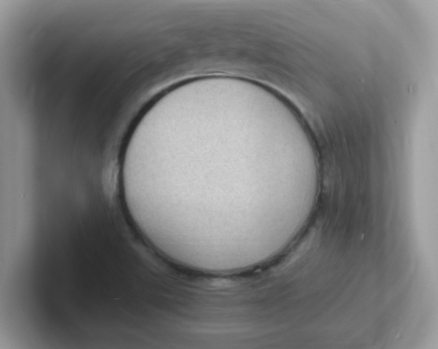 X0000101481507200807281029